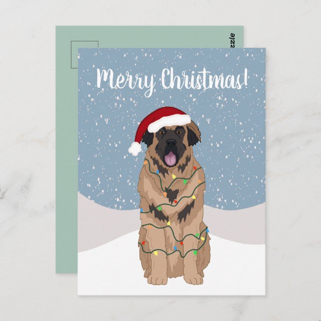 Christmas Leonberger Postcard (Front/Back)