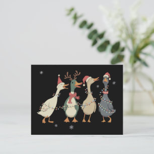 Christmas Lights Ducks Funny Animals Farm Lover  Holiday Postcard