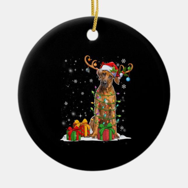 Christmas Lights Rhodesian Ridgeback Dog Ceramic Ornament (Front)