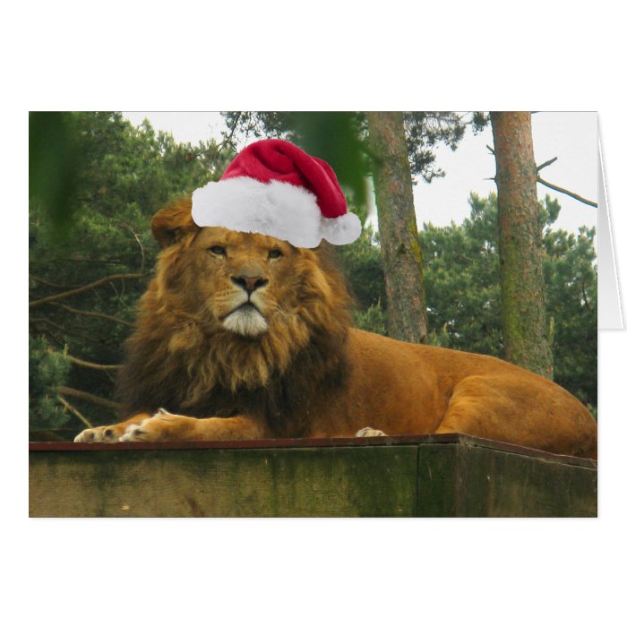 Christmas Lion Wearing Santa Hat Greeting Card