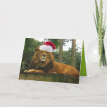 Christmas Lion Wearing Santa Hat Holiday Card