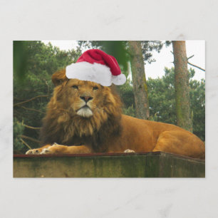 Christmas Lion Wearing Santa Hat Invitation