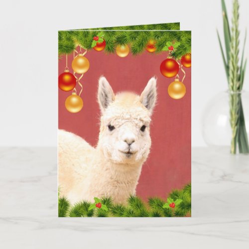 Christmas Llama Holiday Card