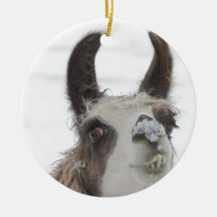 Christmas Llama with Snow on Nose for the Holidays Ceramic Ornament