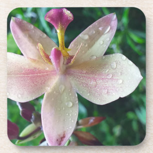 CHRISTMAS LOVE GIFT WOMEN , GIRLFRIEND MOM BEVERAGE COASTER