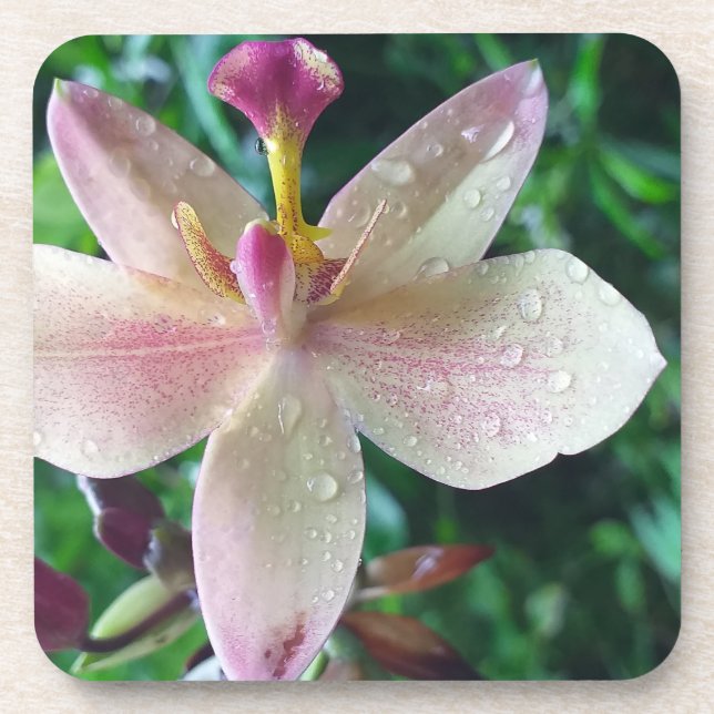 CHRISTMAS LOVE GIFT WOMEN , GIRLFRIEND MOM BEVERAGE COASTER (Front)