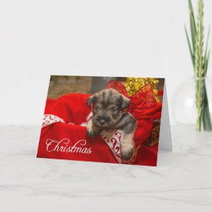 Christmas Love Holiday Card