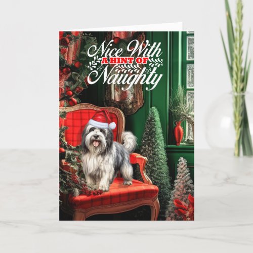 Christmas Lowchen Dog Naughty or Nice Holiday Card