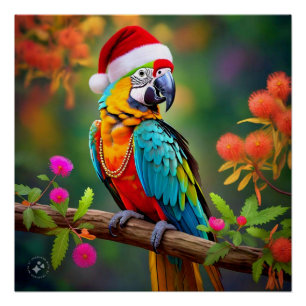 Christmas Macaw Wearing A Santa Hat-56485 Poster