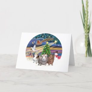 Christmas Magic - 3 Guinea Pigs Holiday Card