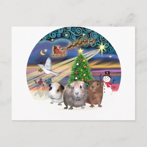 Christmas Magic _ 3 Guinea Pigs Holiday Postcard