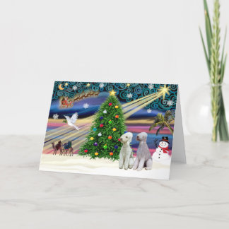 Christmas Magic Bedlington Terriers (two) Holiday Card