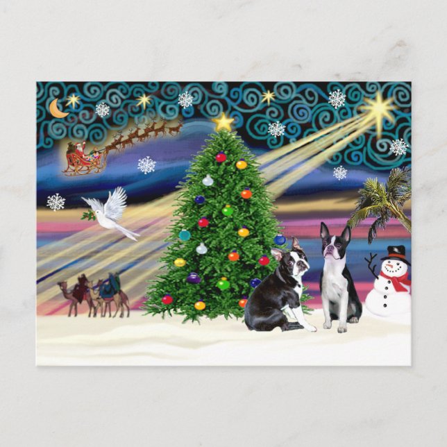 Christmas  Magic-Boston Terrier (2) Holiday Postcard (Front)