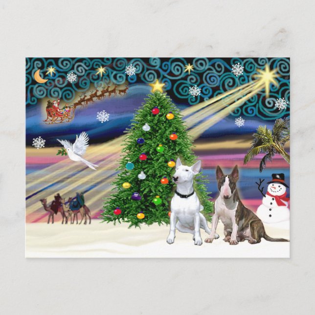 Christmas Magic Bull Terriers (two) Holiday Postcard (Front)