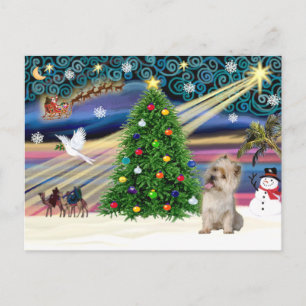 Christmas Magic Cairn Terrier (Wheaten) Holiday Postcard
