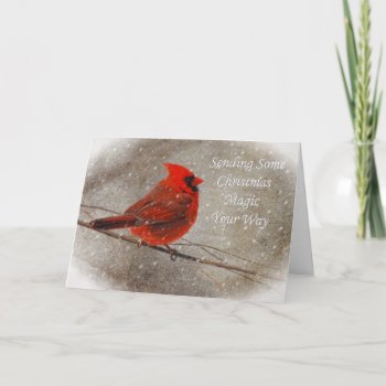 Christmas Magic Cardinal In Snow Card by LoisBryan at Zazzle