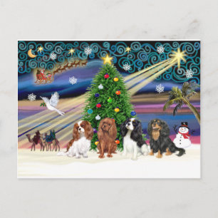 Christmas Magic / Cavalier King Charles (four) Holiday Postcard
