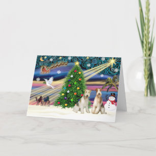 Christmas Magic Fox Terrier (Wire-two) Holiday Card