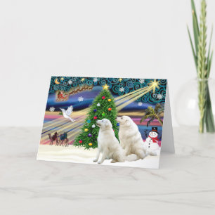 Christmas Magic Kuvasz (two) Holiday Card