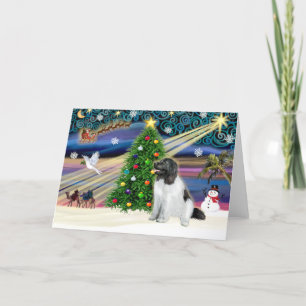 Christmas Magic Newfoundland (Landseer) Holiday Card