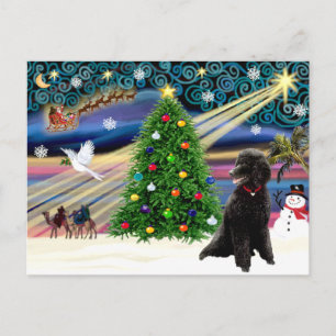 Christmas Magic Poodle (black Standard) Holiday Postcard