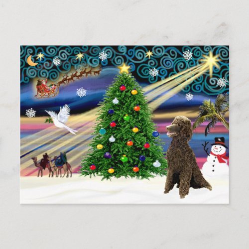 Christmas Magic Poodle Chocolate Standard Holiday Postcard