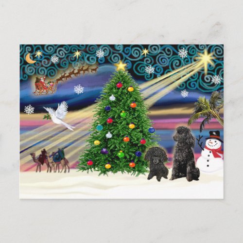 Christmas Magic Poodles two black Toy Holiday Postcard