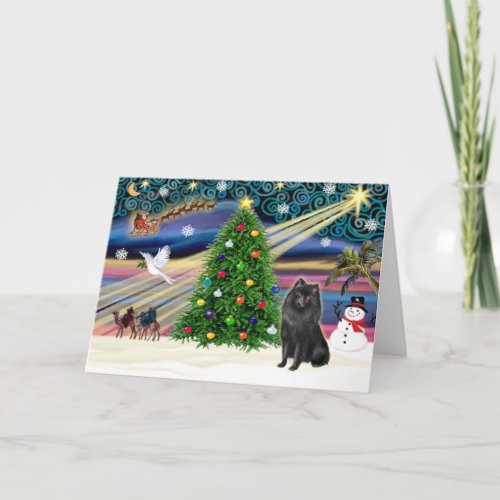 Christmas Magic Schipperke Holiday Card