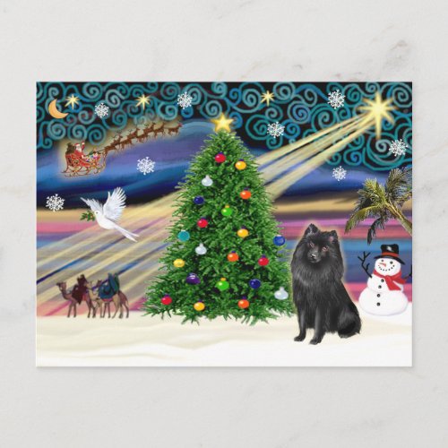 Christmas Magic Schipperke Holiday Postcard