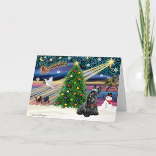Christmas Magic Scottish Terrier 2B Holiday Card