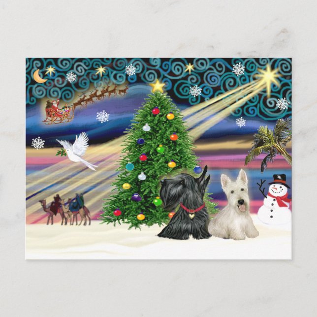 Christmas Magic Scottish Terriers (two) Holiday Postcard (Front)