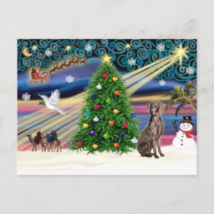 Christmas Magic Weimaraner Holiday Postcard
