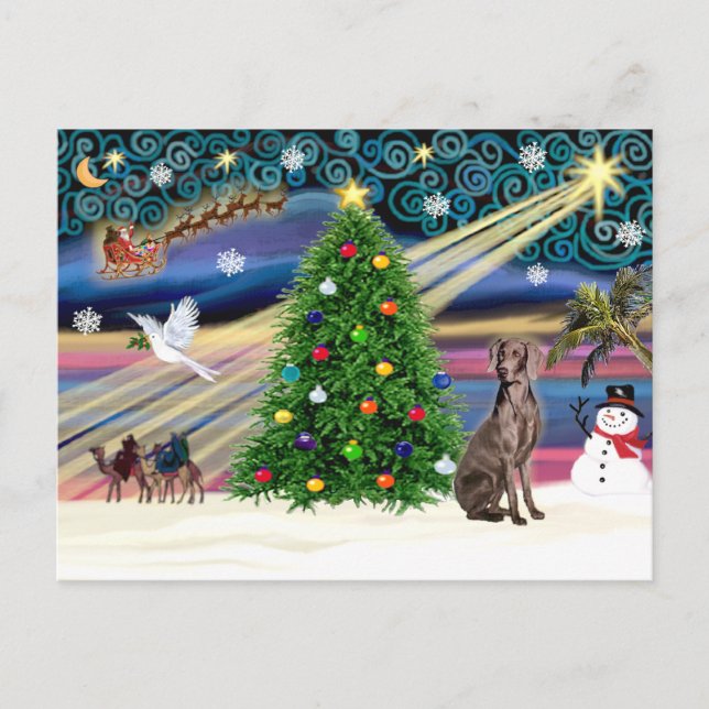 Christmas Magic  Weimaraner Holiday Postcard (Front)