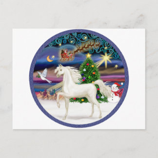 Christmas Magic - White Arabian Horse Holiday Postcard