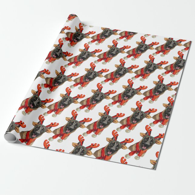 Christmas Malinois dog  Wrapping Paper (Unrolled)