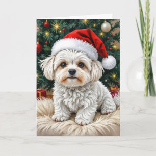 Christmas Maltese Dog On a Fur Pillow Card
