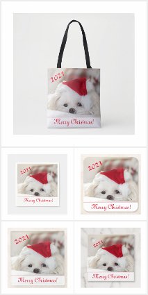 Christmas Maltese Puppy Dog - Santa