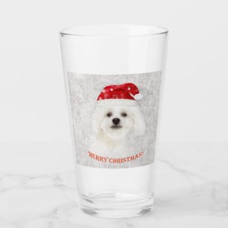 Christmas Maltese puppy