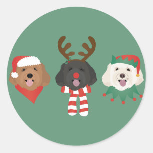 Christmas Maltipoo Dogs Classic Round Sticker