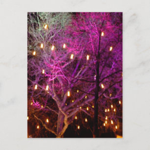 Christmas Market Lights in Cologne Postcard