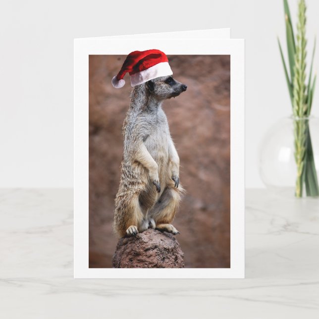 Christmas MeerKat Holiday Card (Front)