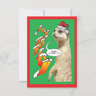 Christmas Meerkat Invitation Green X-Mas