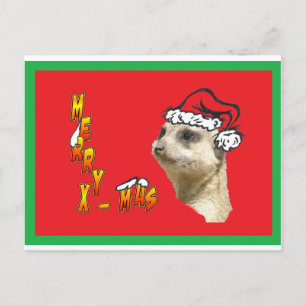 Christmas Meerkat Red Postcard