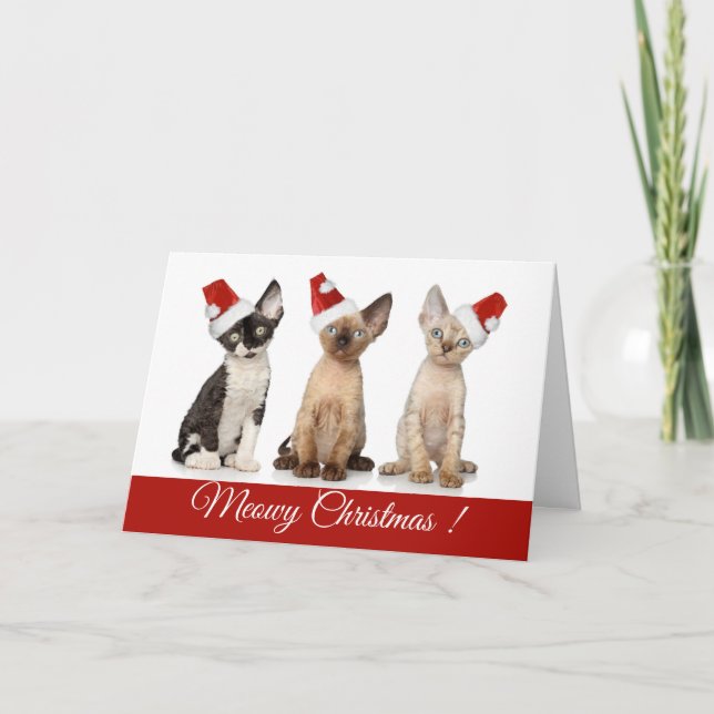 Christmas | Meowy Christmas Kittens Holiday Card (Front)