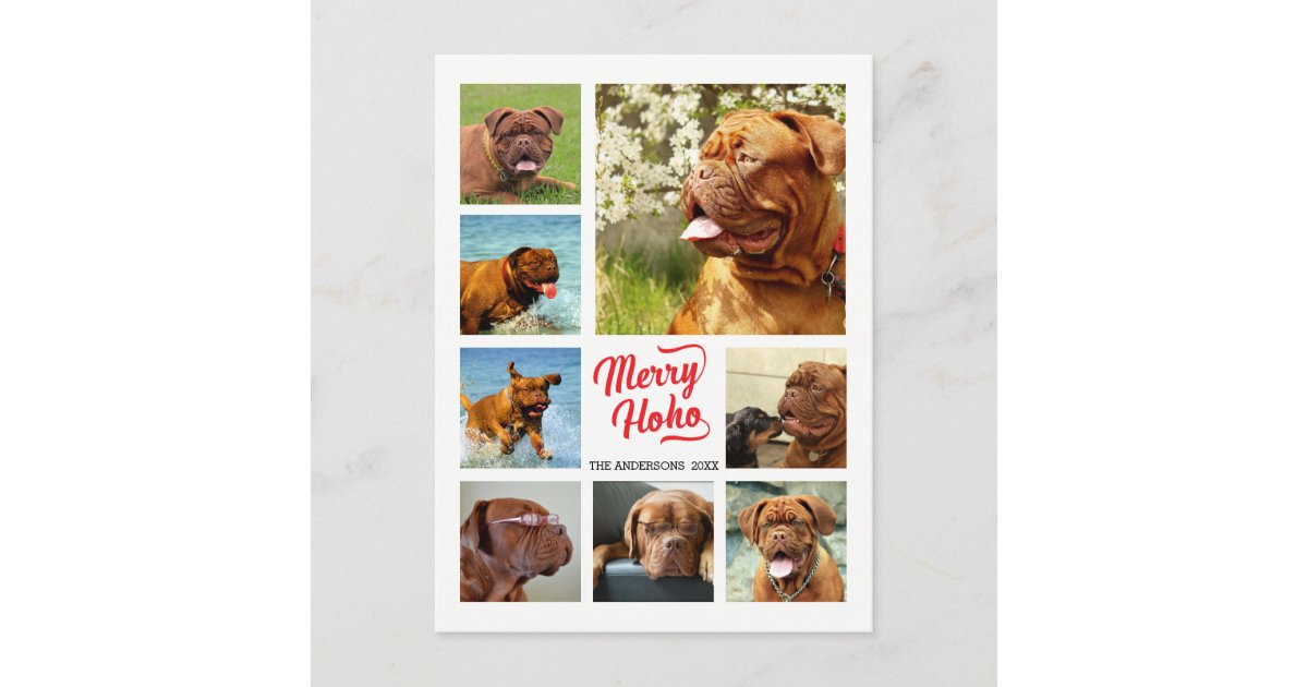 Christmas Merry Ho Ho Holiday Postcard | Zazzle