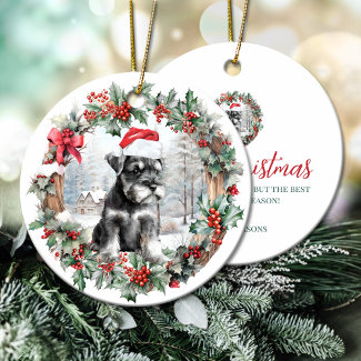 Christmas miniature schnauzer dog puppy Santa hat
