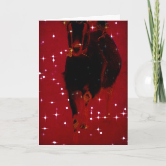 Christmas Misha Holiday Card (Front)