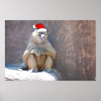 Christmas Monkeys and Baboons