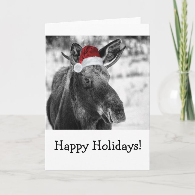Christmas moose holiday card. (Front)