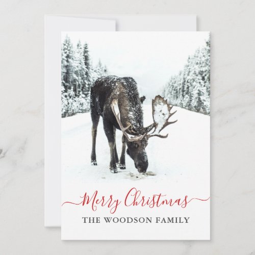 Christmas Moose Winter Snow Merry Christmas Holiday Card